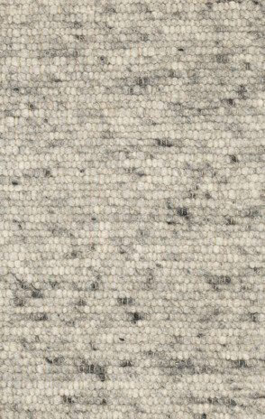 Ctychi-1433